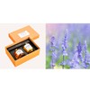 Soy Wax Essential Oil Gift Set Indoor Bedroom Fresh Air