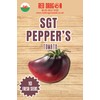 SGT Peppers Tomato Seeds - 10 Fresh SGT Peppers Beefsteak