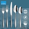 Amefa Venus 20-Piece Flatware, Set for 4 – Stainless Steel