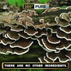 Pacific Rim Mushrooms Turkey Tail Supplement | High Potency 10:1
