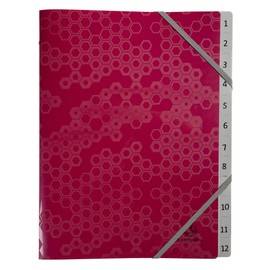 Exacompta - Ref. 58310E - File folder with 3 Maïa flaps - elastic closure - in recycled polypropylene - 12 compartments - dimensions 25x32 cm - for A4 - random colours