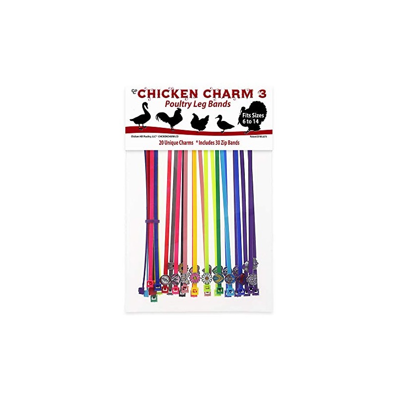 20 Chicken Charm 3 Poultry Leg Bands - Hero Pack