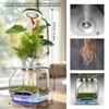 Aeroponics Growing System DIY Kit with Plant Grow Light for