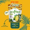 Far's Orchard Jackfruit Chips – 4 Pack (2 oz Resealable Bags), Exotic Crunchy