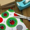 GRAPHICS & MORE Red Ladybug on Green Leaf Ladybird Gift