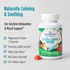 Nordic Naturals Kids Calm Gummies - Strawberry Watermelon - 60