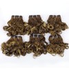 4/27 Short Wavy Curly Bundles with Closure Brazilian P4/27 Wavy