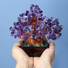 JSDDE Amethyst Crystal Tree Reiki Healing Gemstone Money Tree Feng
