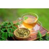 Lowhill Valley Moringa Leaf Herbal Tea - Nutritious Powerhouse –