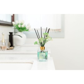 PEANÄK Set of 2 - Eucalyptus Mint Fragrance Oils - Reed diffusers 6.7oz (200ml) 2 Pack of Long Lasting Scents for Home & Office,Living Room & Bathroom Shelf Decor and Gifts