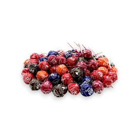 Klub Bulk Giant Classic Roll Pops 1 lb- Assorted Lollipops in Raspberry, Cherry, Chocolate, Grape, Orange, Individually Wrapped, Peanut Free, Gluten Free, and Kosher Certified, with Chocolate Center (16 oz)