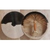 Terre Shaman Drum Goat Skin with Hair Viking Leather Style