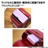 Kutsuwa Pittanton Pencil Case, Double Lid, Coral Pink, CH203CP