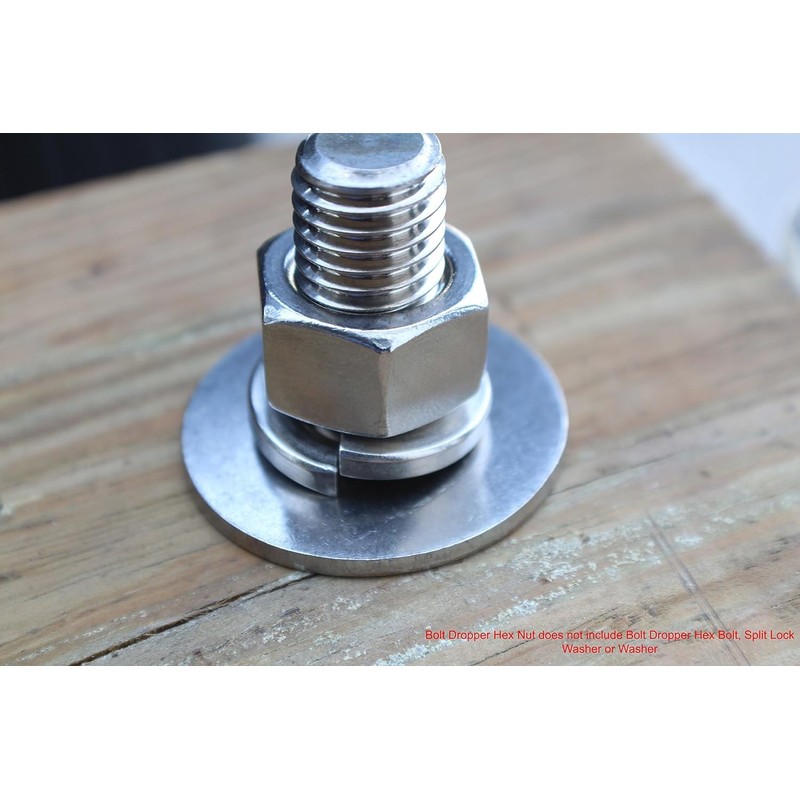 Bolt Dropper 5/16"-18 Stainless Hex Nut (100 Pack), by Bolt