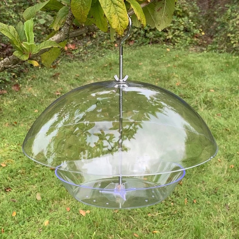 Selections Hanging Clear View Bird Feeder with Integral Squirrel Baffle