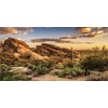MIRRORANG 120x61cm Reptile Habitat Background Blue Sky Oasis Cactus Sun