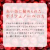 シードコムス アセロラ ビタミンC サプリメント (約12ヶ月分 360粒)