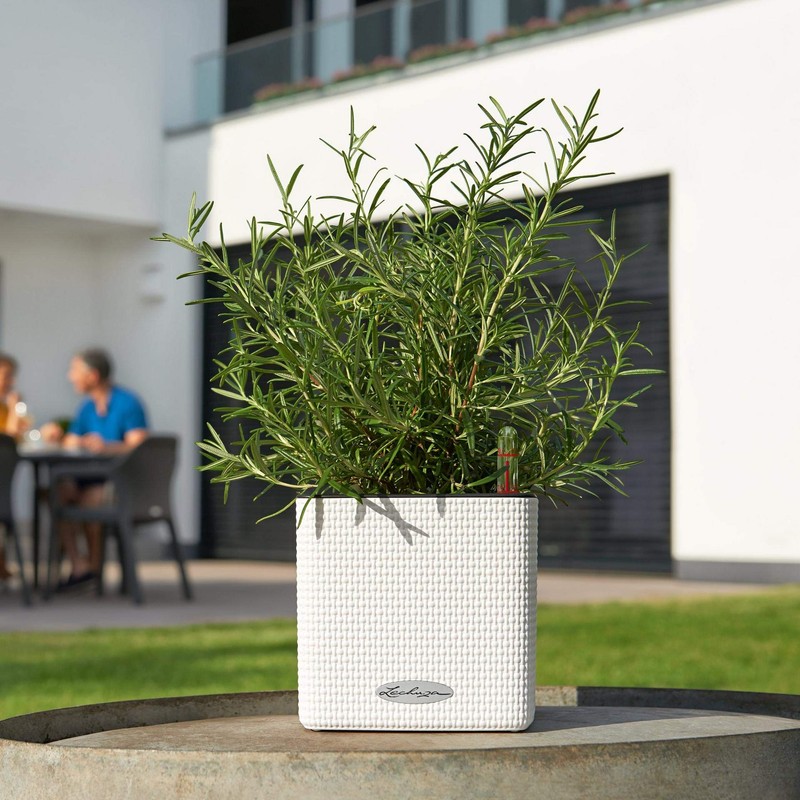 Lechuza Cube Colour 14 13384 Herb Pot, High-Quality Plastic, Includes