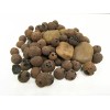 Penn-Plax (APON1) Aquaponic Planter and Aquarium for Betta Fish Tank