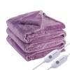 Eydna Electric Heated Blanket Queen Size 84"x90", Dual Controllers, Cozy