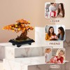 IFAYMOC Bonsai Tree Building Sets Toy, Four Seasons Bonsai Tree