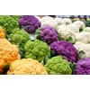 Colorful Cauliflower Mix of 5 Varieties Seeds for Planting Around