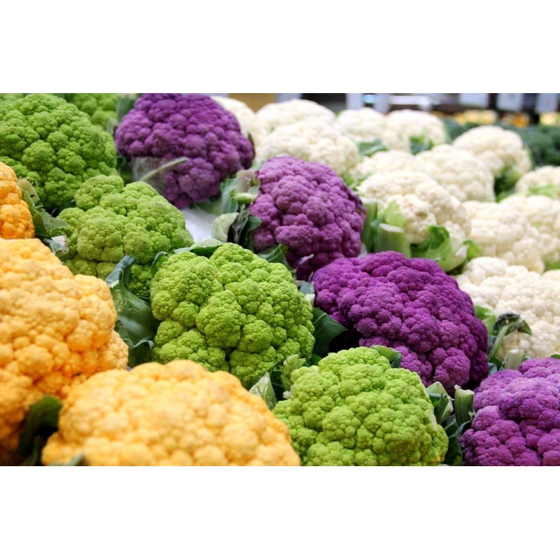 Colorful Cauliflower Mix of 5 Varieties Seeds for Planting Around