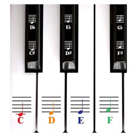 QMG Color Piano and Keyboard Music Note Full Set Stickers for White and Black Keys; Made in USA