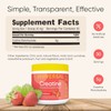 Universal U Creatine Monohydrate for Women - Flavored Creatine Powder,