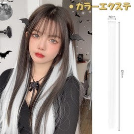 FESHFEN One Touch Extension, Color Extension, Hair Extension, Point Wig, Long Clip, Set of 6, Solid Color (White)