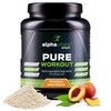 alphavitalis PURE INTRA WORKOUT Shake EISTEE PFIRSICH - 800g Cluster