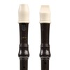 CASCHA Soprano Descant Recorder, Plastic Flute for Children and Beginners,