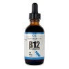 Infinite Health Labs Liquid Vitamin B-12 for Dogs - Methylcobalami