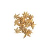 Daichi Farm DO021020-902 Dried Flower Star Anise, Gold, Approx. Φ1.2