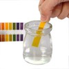 Lansonee Lansonee 2 Pack pH 1-14 Test Indicator 160 Strips