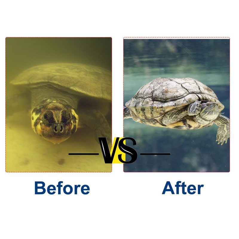 Small Water Filter For Turtle Tank 3w For Water Level