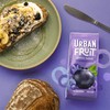 URBAN FRUIT Blueberry - Sharing Pack - Gently Baked Fruit