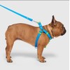 Canada Pooch Waterproof Dog Harness
