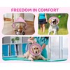 DEWVIE Soft Dog Cone for Dogs, Soft Dog Recovery Cone