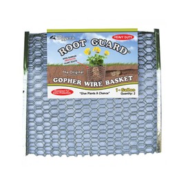 Digger’s 1-Gallon Heavy-Duty Wire Basket - Gopher Wire Baskets for Perennials & Vegetables (2 Baskets)