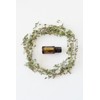 doTERRA - Thyme Essential Oil - 15 mL