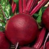 NIKA SEEDS - Vegetable Beet Red Ball Round Beetroot Heirloom
