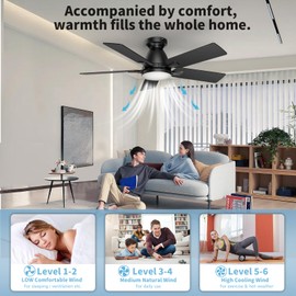AIKVSXER Ceiling Fans with Lights,52" Low Profile Ceiling Fan with Lights and Remote,Reversible,3CCT, Dimmable, Noiseless, Black Ceiling Fan for Bedroom, Farmhouse, Living Room, Indoor/Outdoor Use