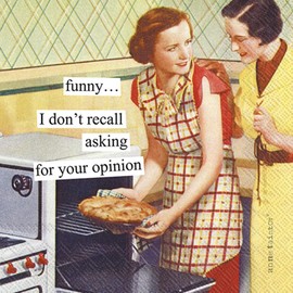 IHR Ideal Home Range Cocktail Napkins Anne Taintor Disposable 3-Ply Paper Party Napkin Pack, 5" x 5", Opinion, 20-Count