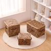VinneGenzz 2PCS Storage Cubes with Zipper Lid 11 Inch Leopard