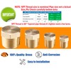 WHK 24 PCS Brass Hex Pipe Plug Fittings Kits,Brass Plugs