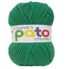 Cygnet Pato Everyday Chunky - Green 877