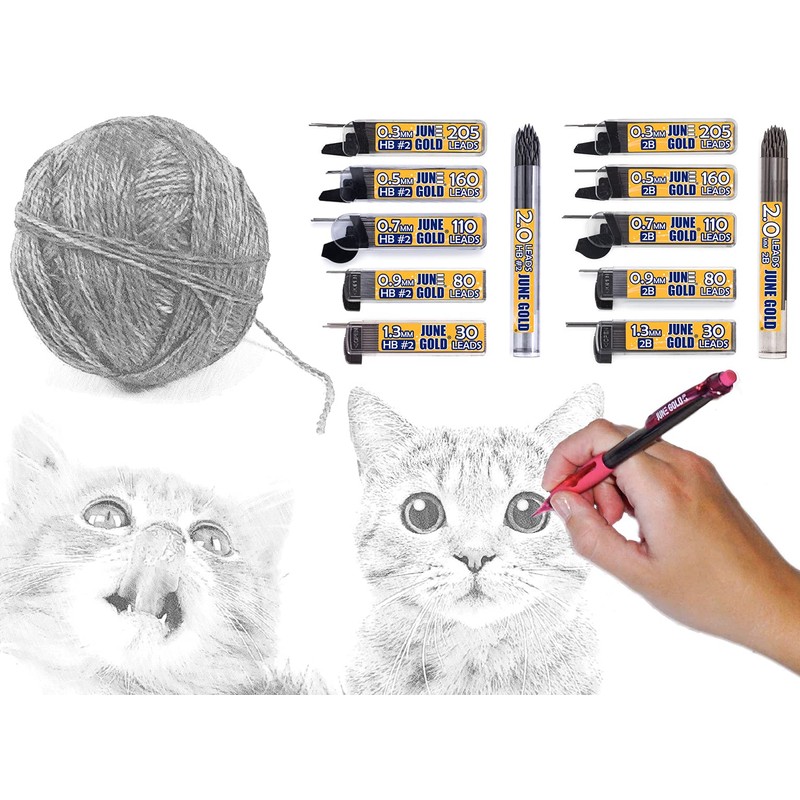 June Gold 640 Pieces, 0.5 mm 4B Lead Refills, 160