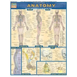 Anatomy (Quickstudy Reference Guides - Academic)