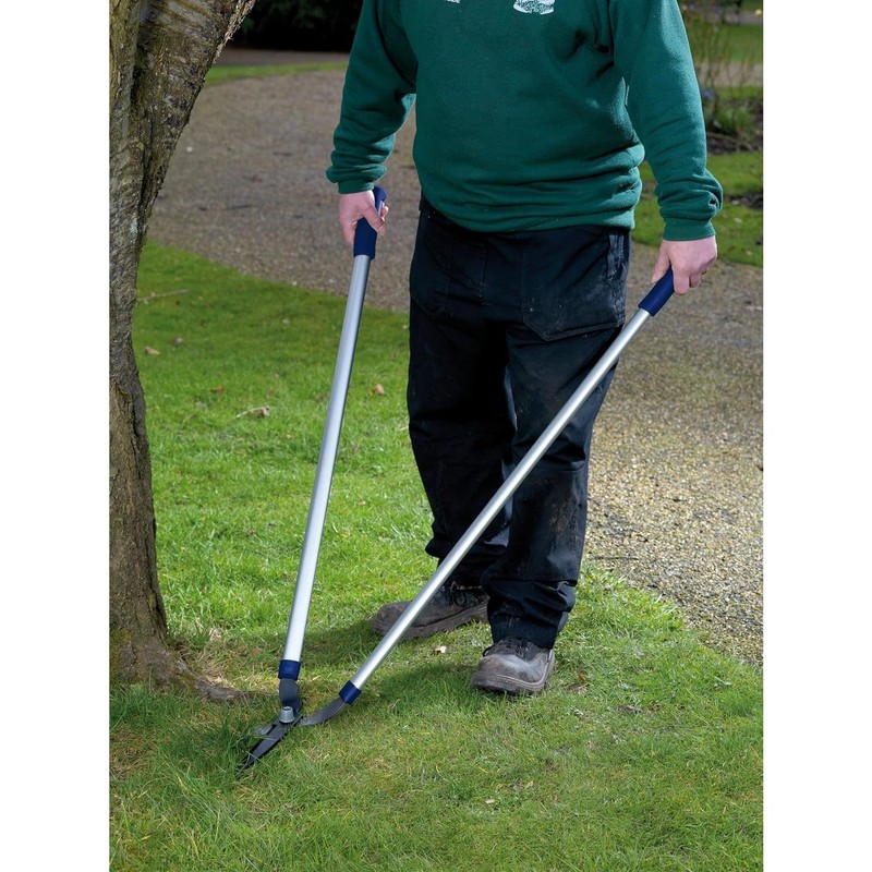 Spear & Jackson 4867RS Razorsharp Lawn Shears, blue & silver